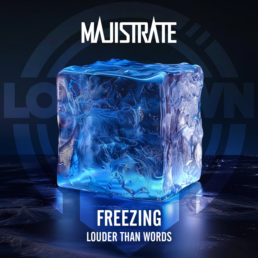 LDDR 238 - Majistrate 'Freezing' | 'Louder Than Words'