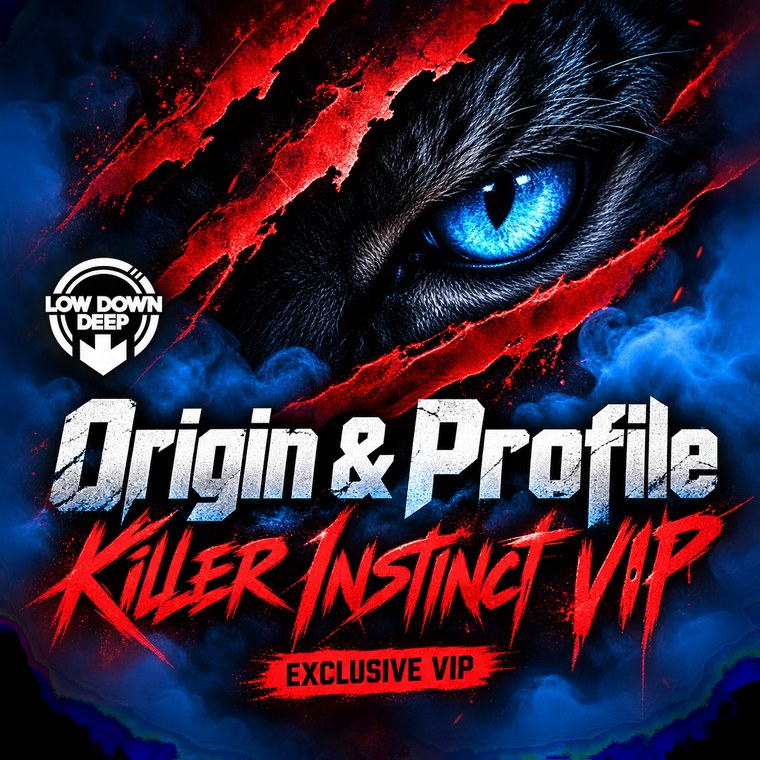 Origin & Profile - Killer Instinct VIP