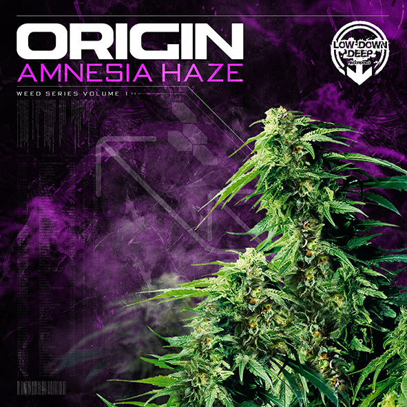 LDD 066 - Origin 'Amnesia Haze'