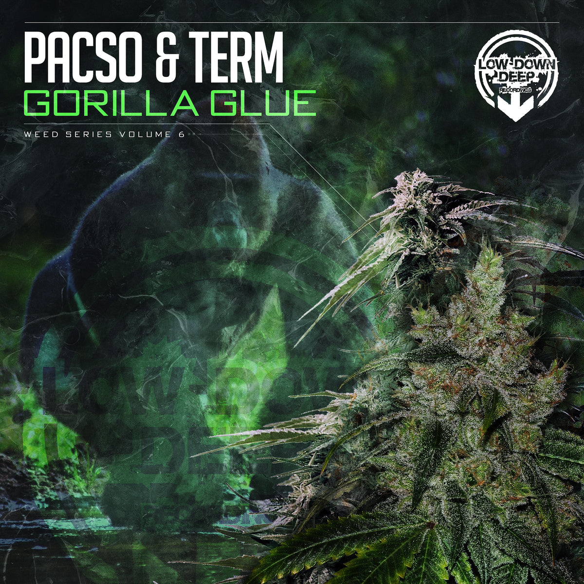 LDD 074 - Pacso & Term 'Gorilla Glue'