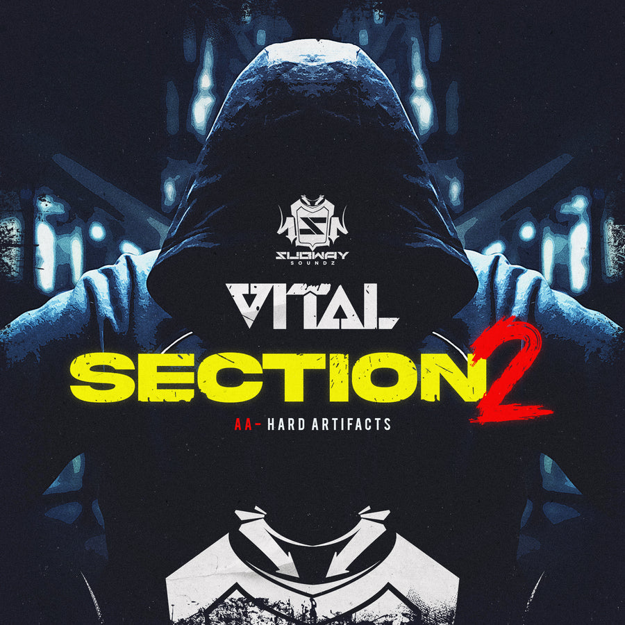 SSLD 115 - Vital 'Section 2' | 'Hard Artifacts'